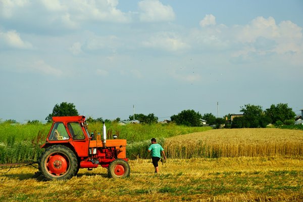 Comment organiser une visite des fermes biologiques en Nouvelle-Zélande?